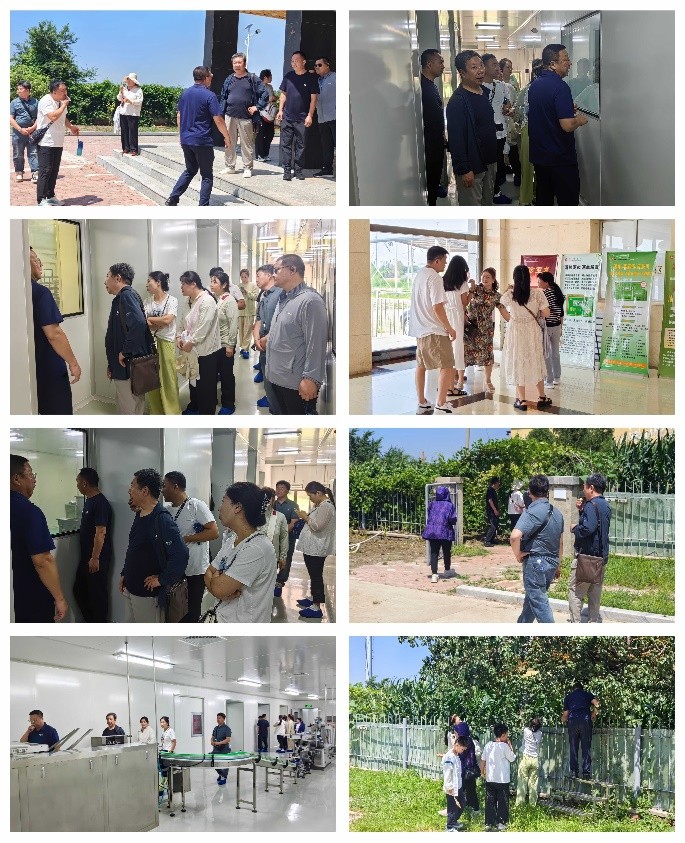 1728356586415193.jpeg image4.jpeg